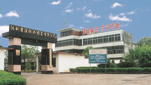 1997年 1997年
