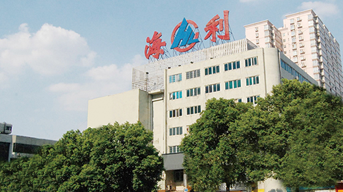2005年 2005年